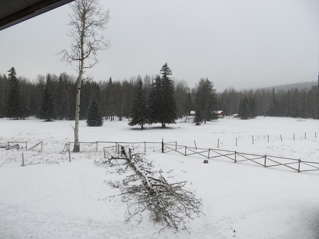 Black Cat Guest Ranch Brule Mines Eksteriør billede